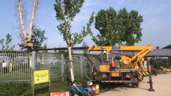 微信图片_20250423090848.jpg 微信图片_20250423090848.jpg