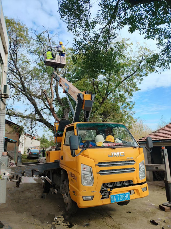 18米直臂登高车载人修树施工现场